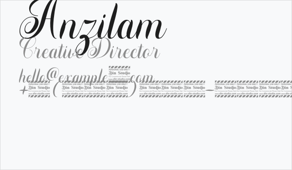 Anzilam Business Card