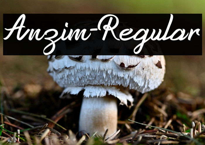 Anzim-Regular Example 1