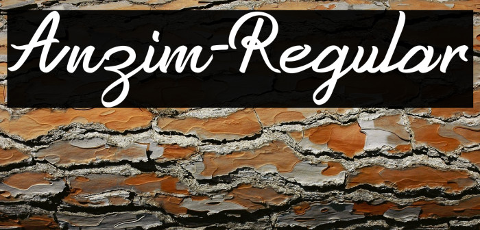 Anzim-Regular Example 2