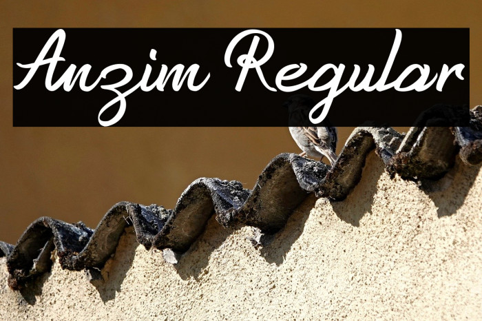 Anzim Regular Example 3