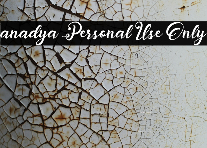 anadya Personal Use Only Font examples