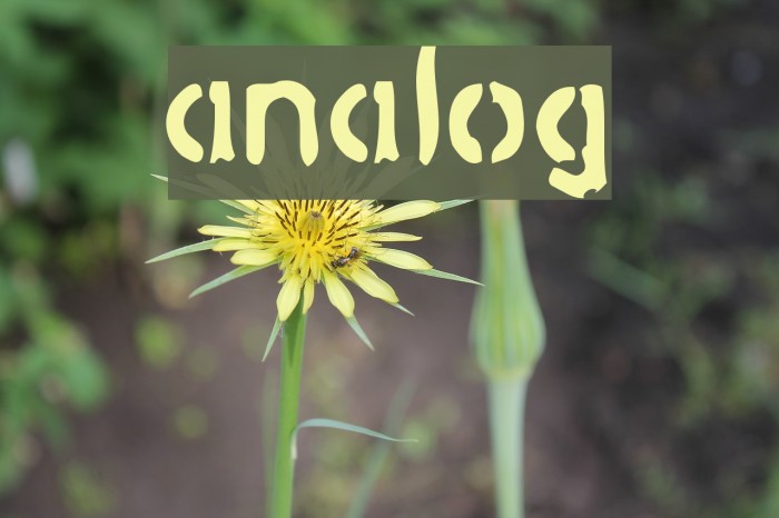 analog Font examples