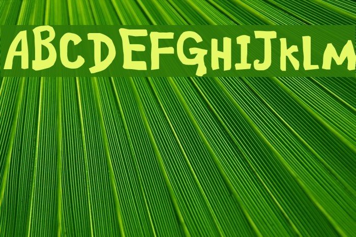 ananda Font examples