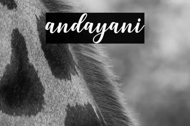 andayani Font examples