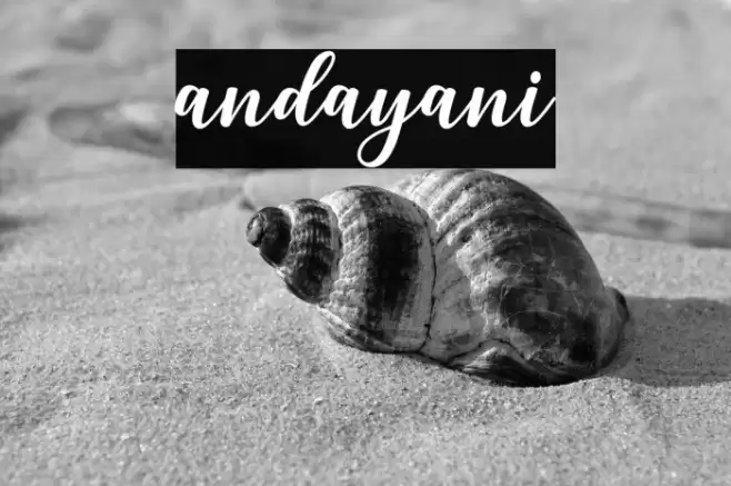 andayani Font examples