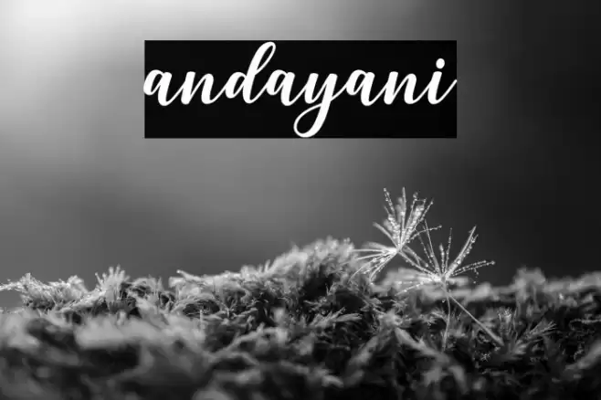andayani Font examples