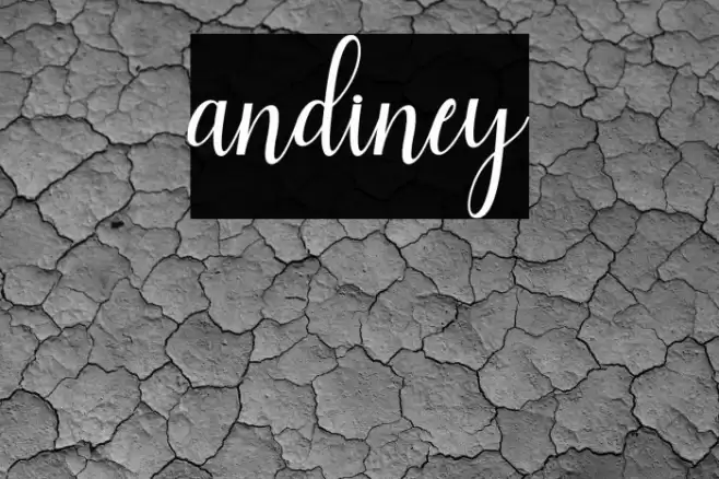 andiney Font examples