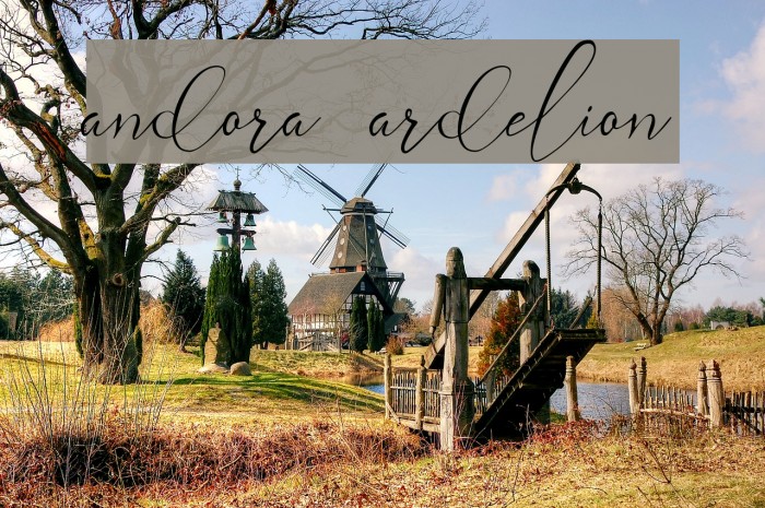 andora ardelion Font examples