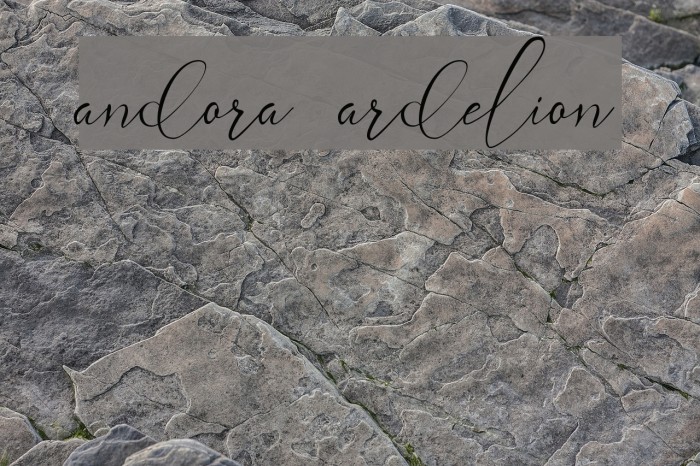 andora ardelion Font examples
