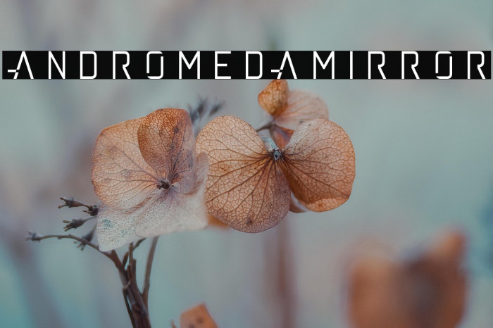 andromedamirror Example 2
