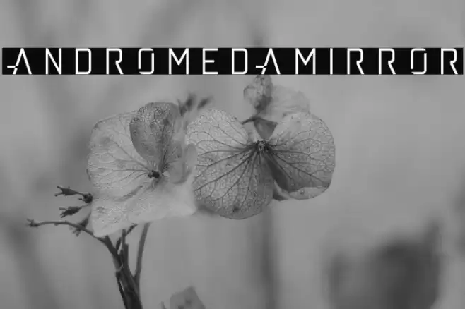 andromedamirror Font examples
