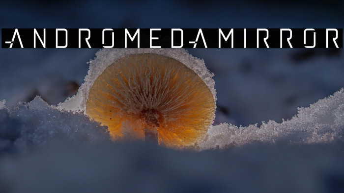 andromedamirror Example 3