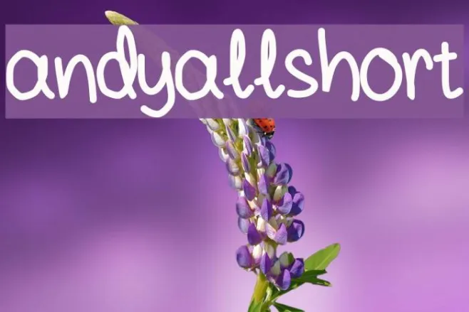 andyallshort Example 1