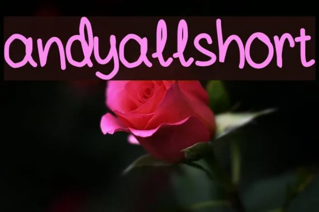 andyallshort Example 3
