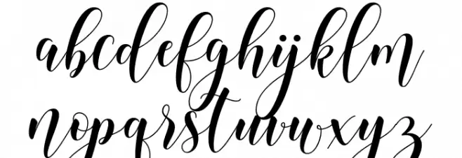 angelica フォント 小文字