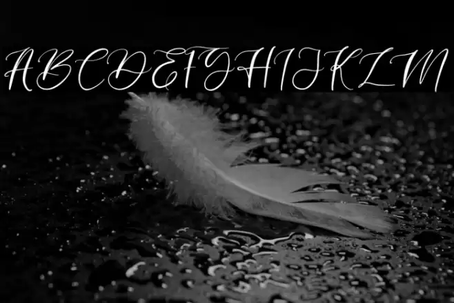 angelina Font examples