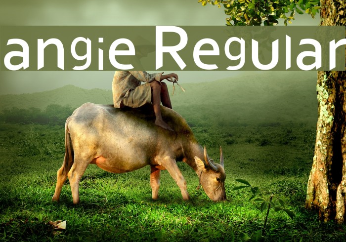 angie Regular Example 1