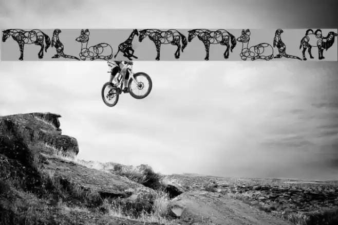 animaline Font examples