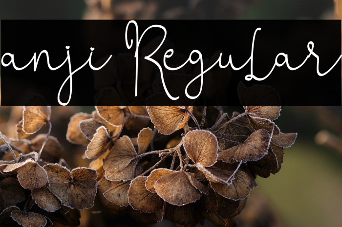 anji Regular Example 1