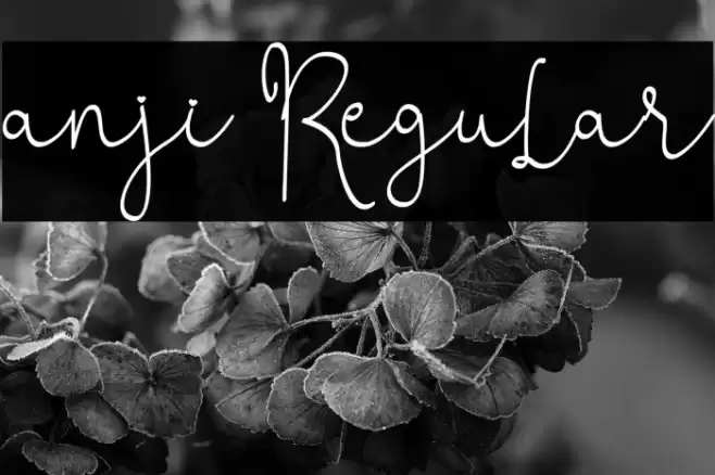anji Regular फ़ॉन्ट examples