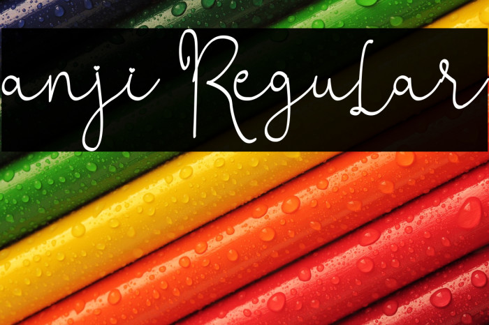 anji Regular Example 2