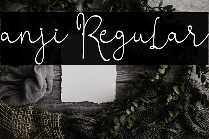 anji Regular Example 3