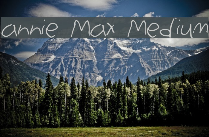annie Max Medium Font examples