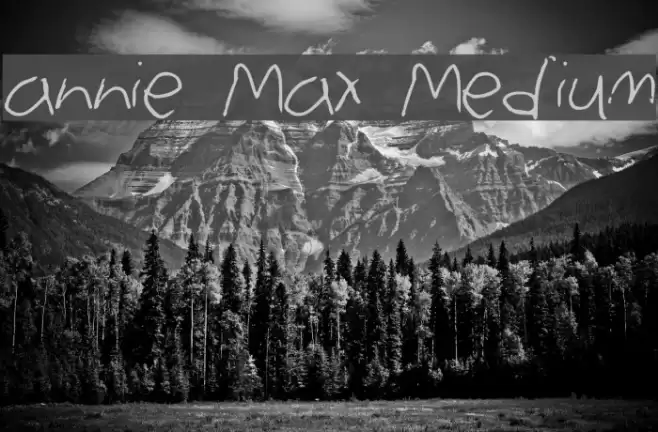 annie Max Medium Font examples