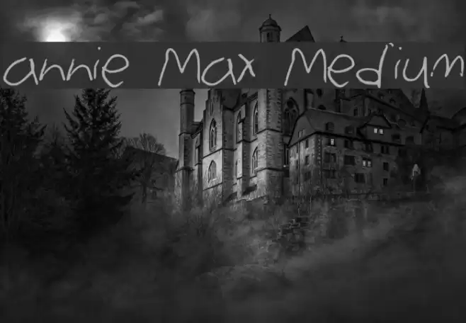annie Max Medium Font examples