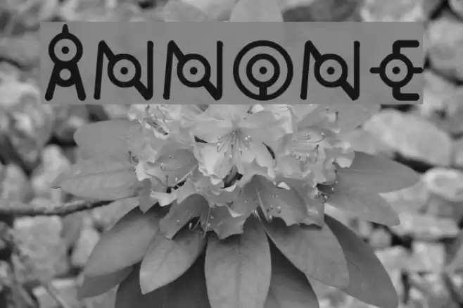 annone Font examples