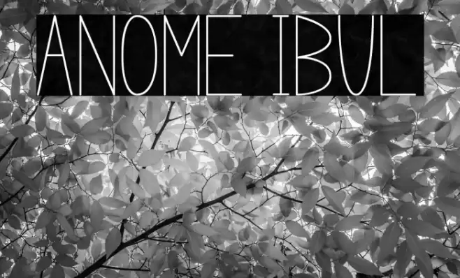 anome ibul Font examples