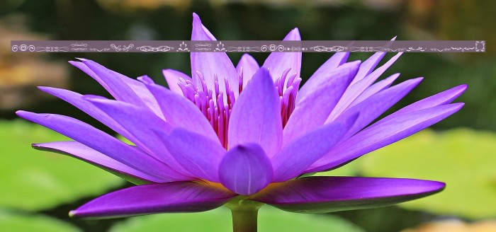 another ornaments tfb Example 1