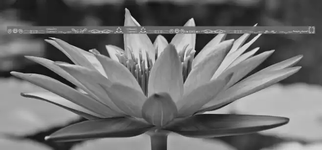 another ornaments tfb Font examples