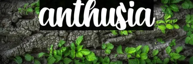 anthusia Example 3