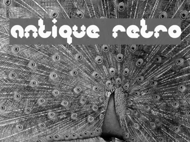 antique retro Font examples