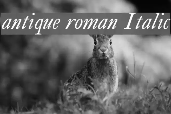 antique roman Italic Font examples