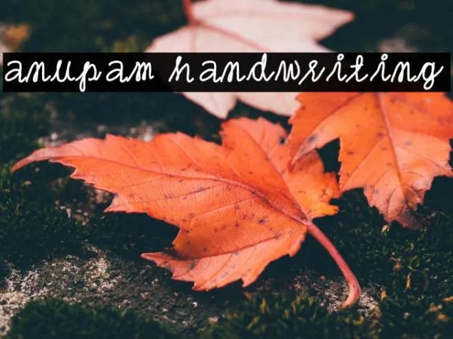 anupam handwriting Example 1