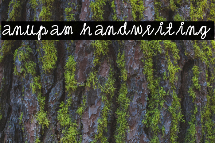 anupam handwriting Font examples