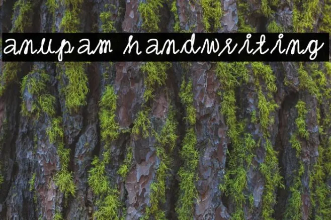anupam handwriting Example 2