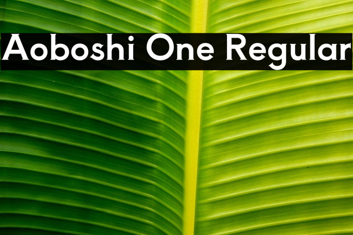 Aoboshi One Regular Example 3