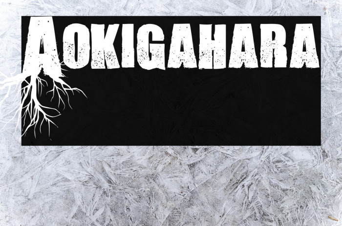 Aokigahara Example 3