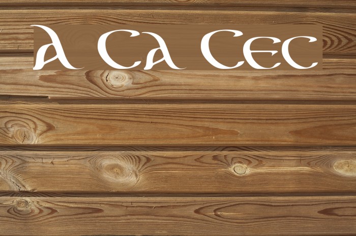 Aon Cari Celtic Font examples