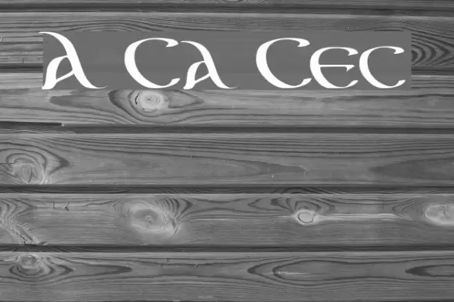 Aon Cari Celtic Font examples