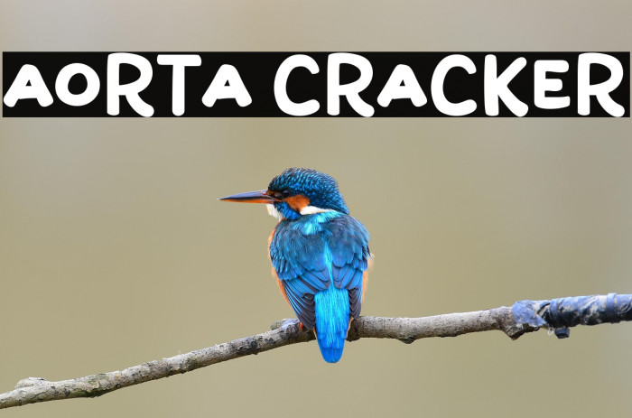 Aorta Cracker Example 1