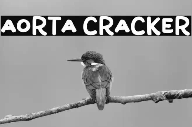 Aorta Cracker Font examples