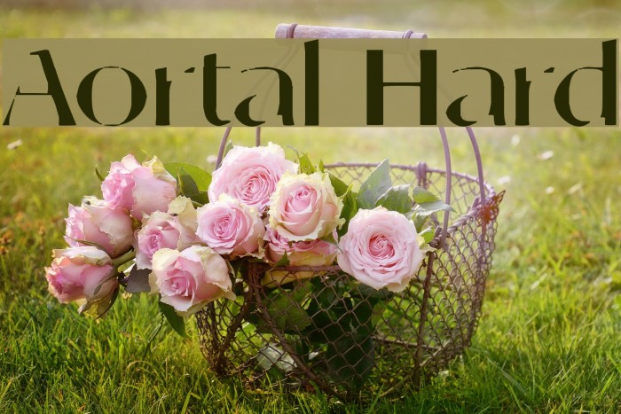 Aortal Hard Font examples