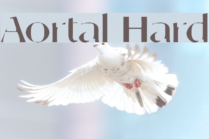 Aortal Hard Font examples