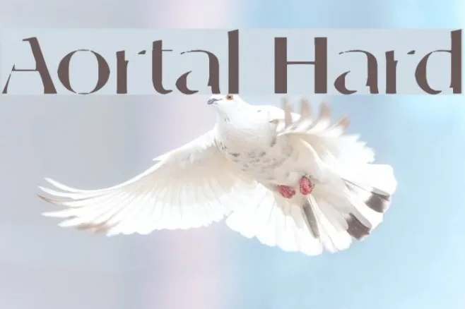 Aortal Hard Example 2