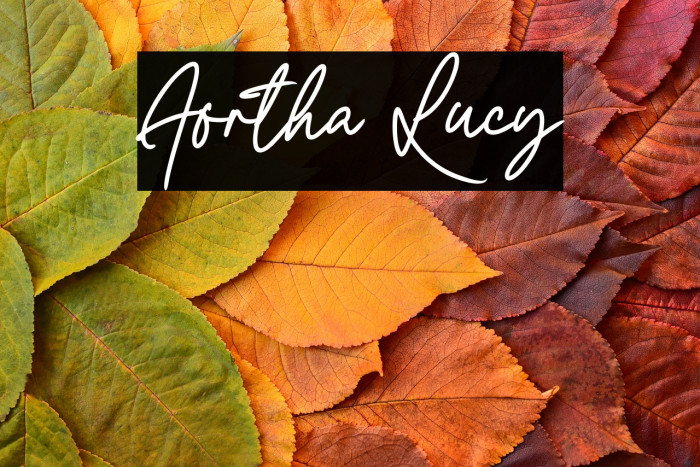 Aortha Lucy Example 1