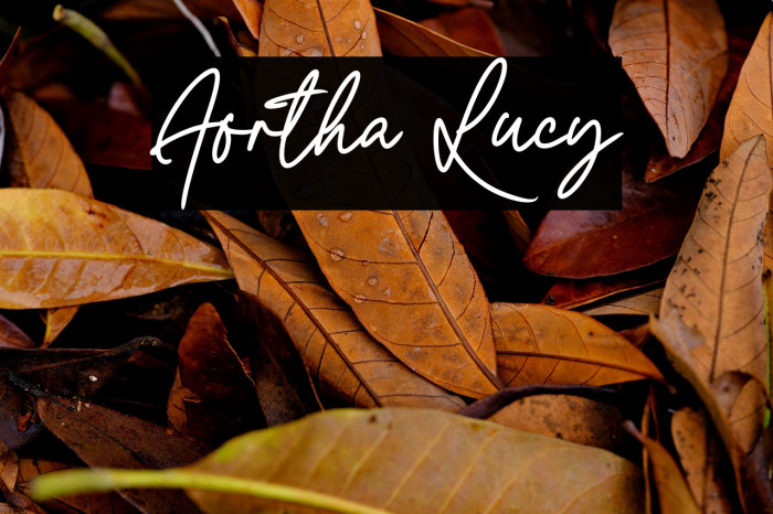 Aortha Lucy Example 2